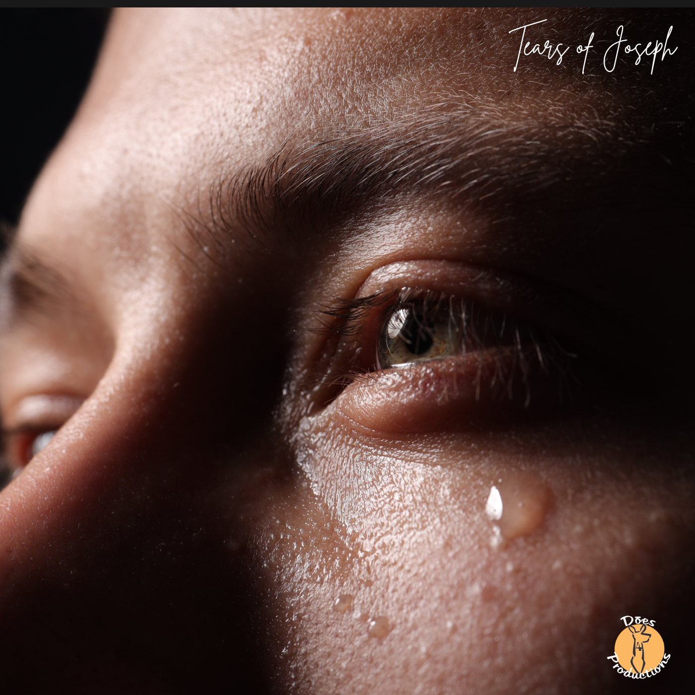 How to Understand The Tears of Joseph